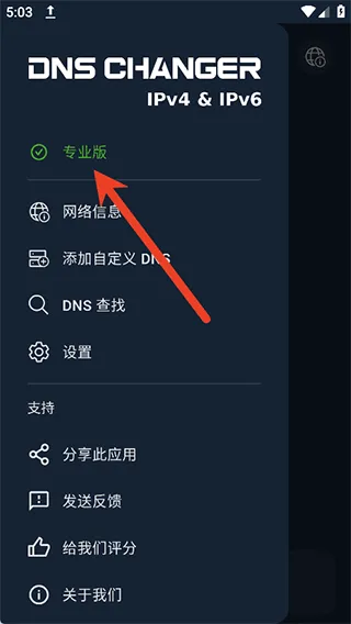 DNS Changer v2.8.2安卓版