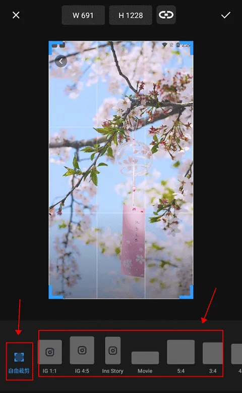 专业照片编辑器app(Polish) v1.74.253安卓版