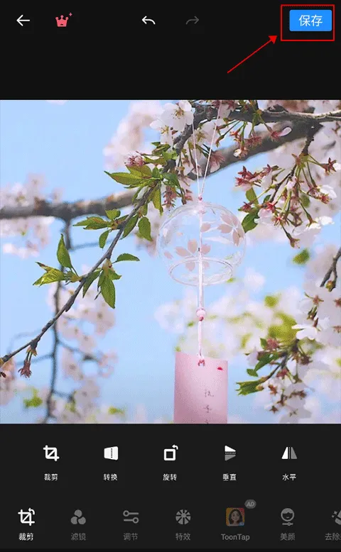 专业照片编辑器app(Polish) v1.74.253安卓版