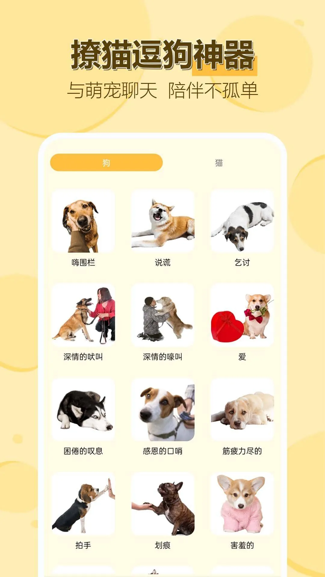 动物猫狗交流助手app v1.0.0.10 安卓版