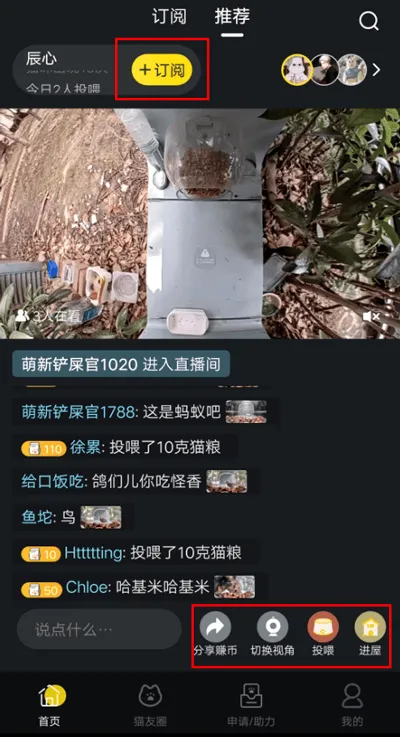 哈啰街猫app v3.4.1安卓版