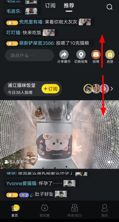 哈啰街猫app v3.4.1安卓版