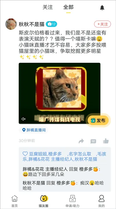 哈啰街猫app v3.4.1安卓版