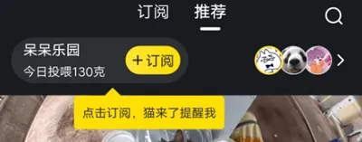 哈啰街猫app v3.5.5安卓版