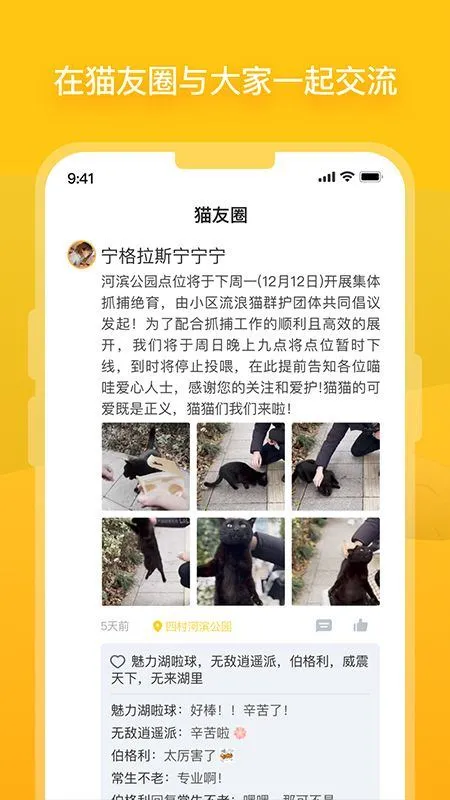 哈啰街猫app v3.5.5安卓版