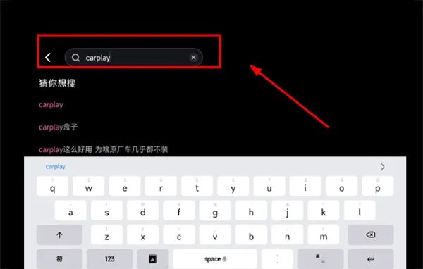 哔哩哔哩车机版 v2.10.2安卓版