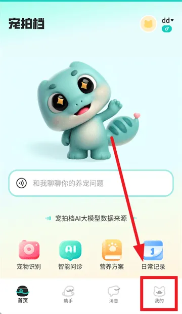 宠拍档app 宠拍档app