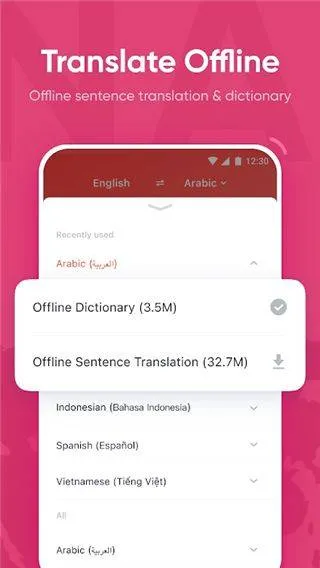 有道词典国际版 v6.7.3安卓版