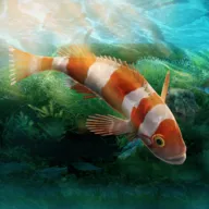 水族馆设计师游戏 水族馆设计师游戏