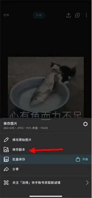 泼辣修图高级版 v6.11.8安卓版