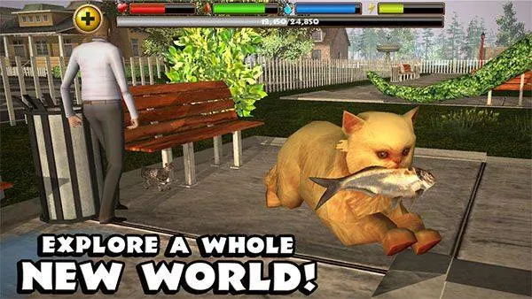 流浪猫模拟器手机版(StrayCatSim) v1.0.4官方版
