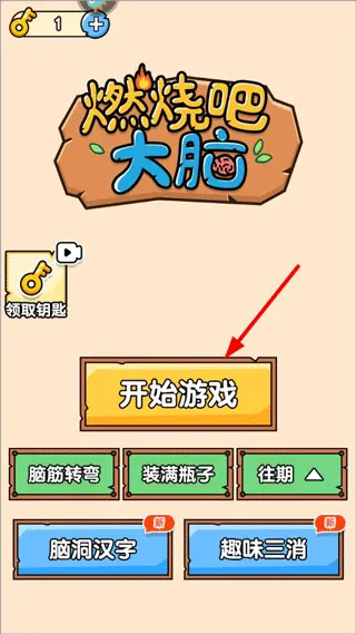 燃烧吧大脑游戏 v1.0.0.0安卓版