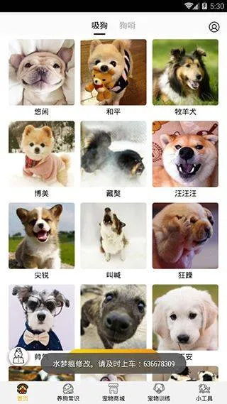 狗语翻译器中文版 v1.4.8安卓版