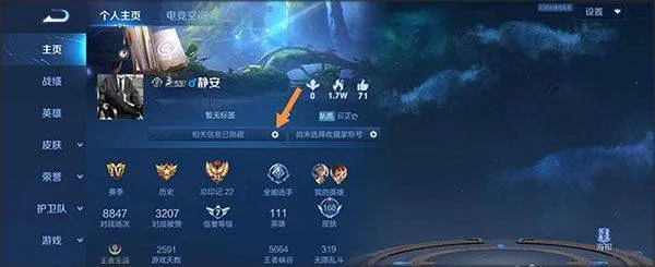 王者荣耀抢先服 v11.21.1.21安卓版
