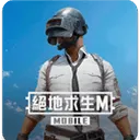 绝地求生台服官方正版下载 v4.1.0安卓版