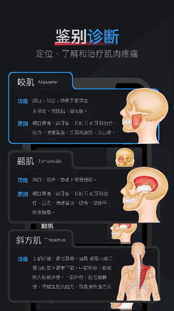 肌肉激痛点图谱软件下载v1.2 安卓版 肌肉激痛点图谱软件下载v1.2 安卓版