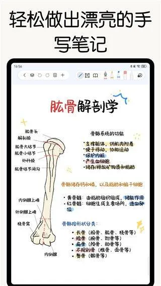 自由笔记安卓版下载 自由笔记安卓版下载