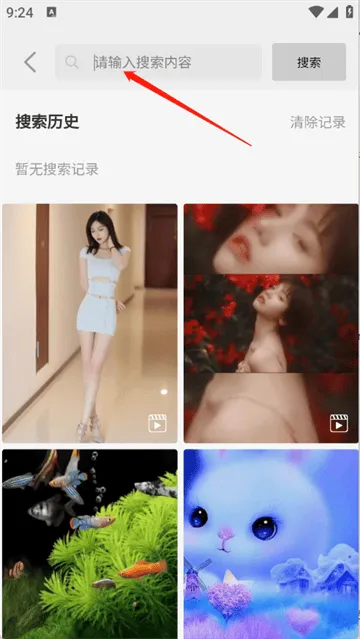 随心手机壁纸app 随心手机壁纸app