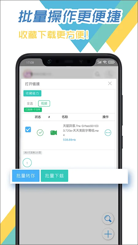 飞鸟下载器app v3.97安卓版