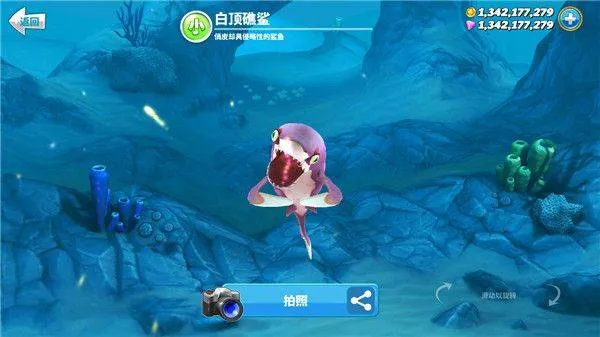 饥饿鲨世界国际服正版(Hungry Shark World) v7.5.7安卓版