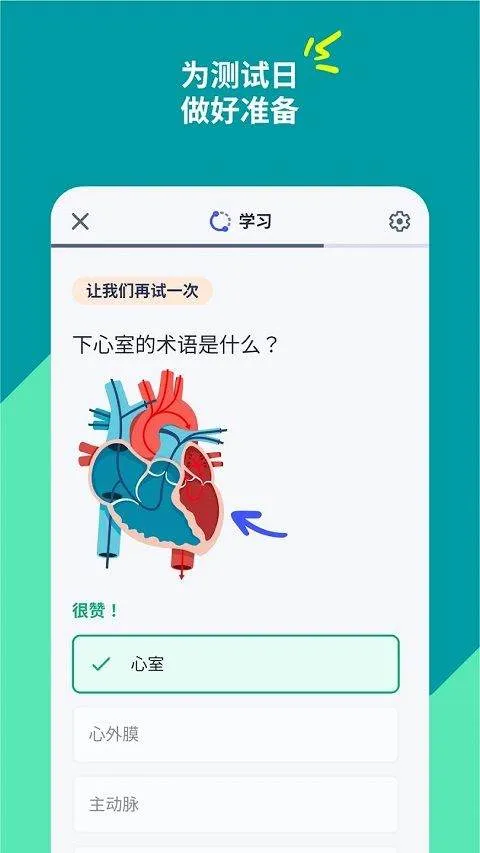 Quizlet安卓版最新版 v10.16官方版
