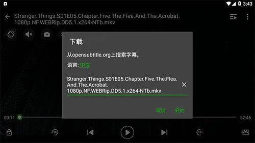 XPlayer官方版 v2.4.9.3