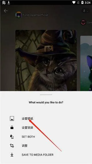 Zedge壁纸官方版 v9.6.1安卓版